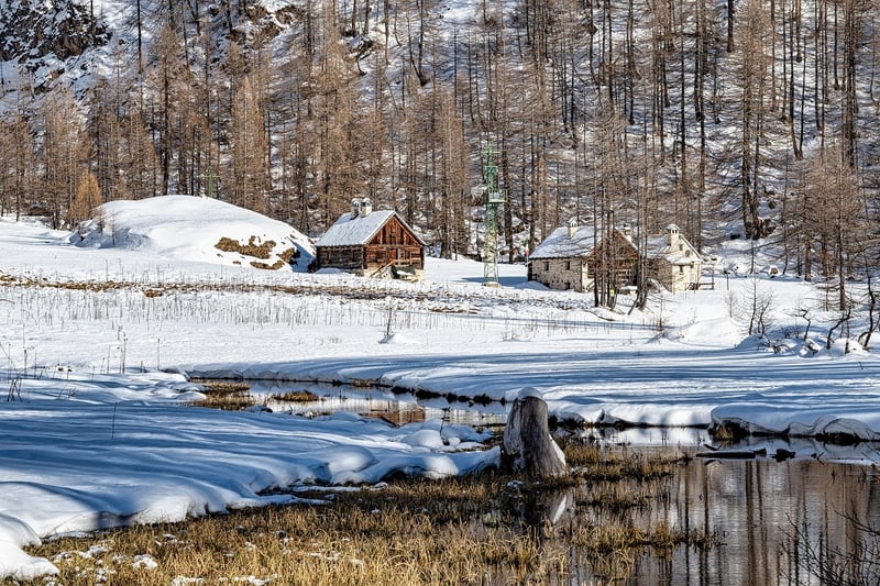 Off-Grid Cabin in the Woods